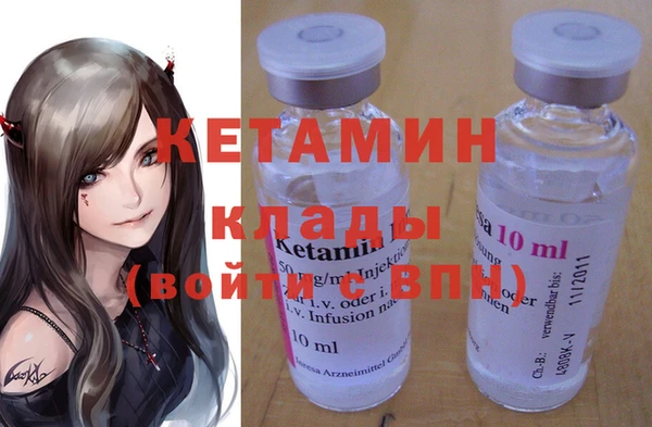 гашик Няндома