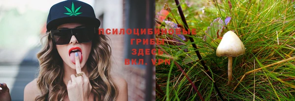 таблы Осинники
