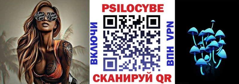 купить  цена  Опочка  KRAKEN зеркало  Псилоцибиновые грибы GOLDEN TEACHER 